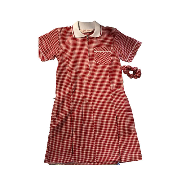 Checked Summer Dress - Red Shop